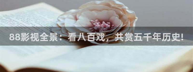 丫丫4480青苹果影院：88影视全景：看八百戏，共赏五千年历史!