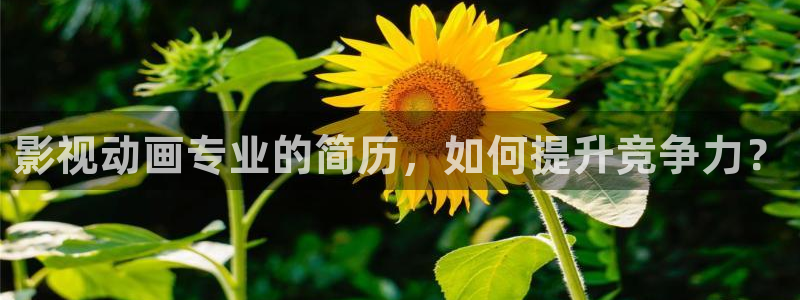 青苹果影院yy6090免费：影视动画专业的简历，如何提升竞争力？