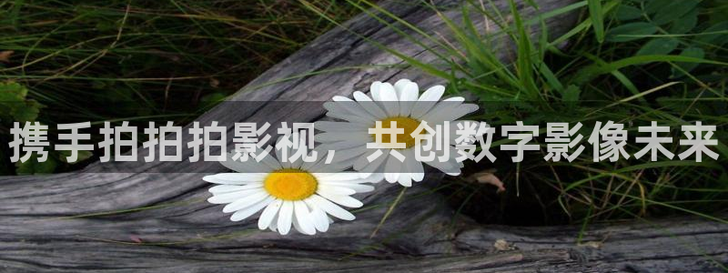 4090青苹果影院：携手拍拍拍影视，共创数字影像未来