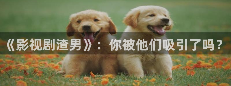 yy40080青苹果影院：《影视剧渣男》：你被他们吸引了吗？