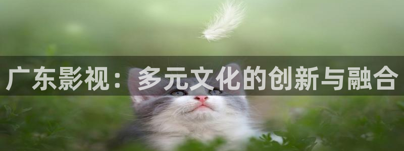 琪琪青苹果神马影院：广东影视：多元文化的创新与融合